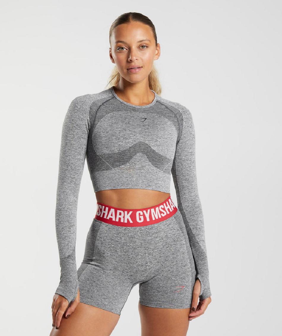 Corp Tops Gymshark Flex Long Sleeve Mujer Gris | CO 2523HAP